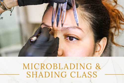 Microblading-&-Shading-Class
